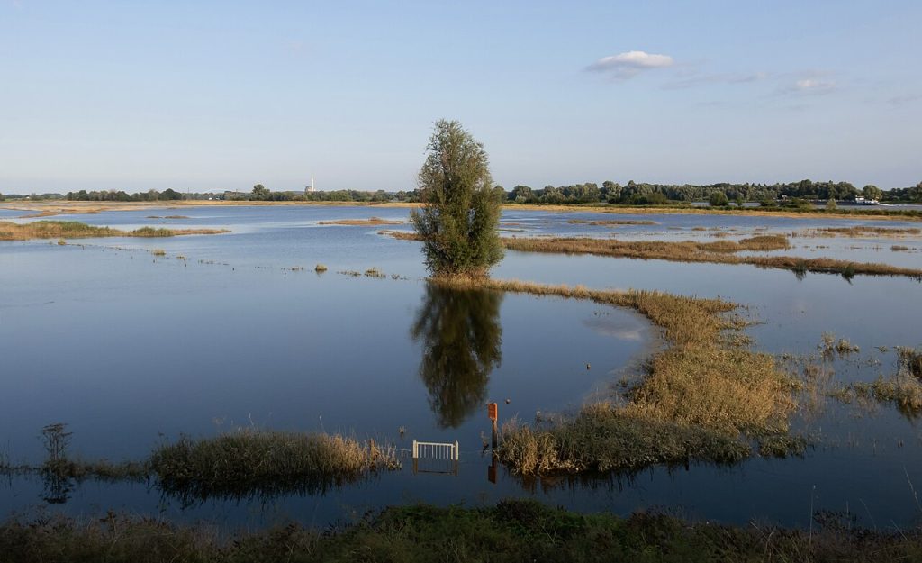 Uit Betuwe