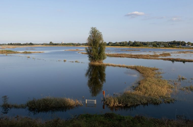 foto: michielverbeek / cc by sa 4.0 via wikimedia commons