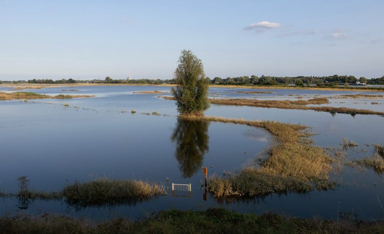 Wandeling in Uiterwaarden Waal — Natuur in Betuwe