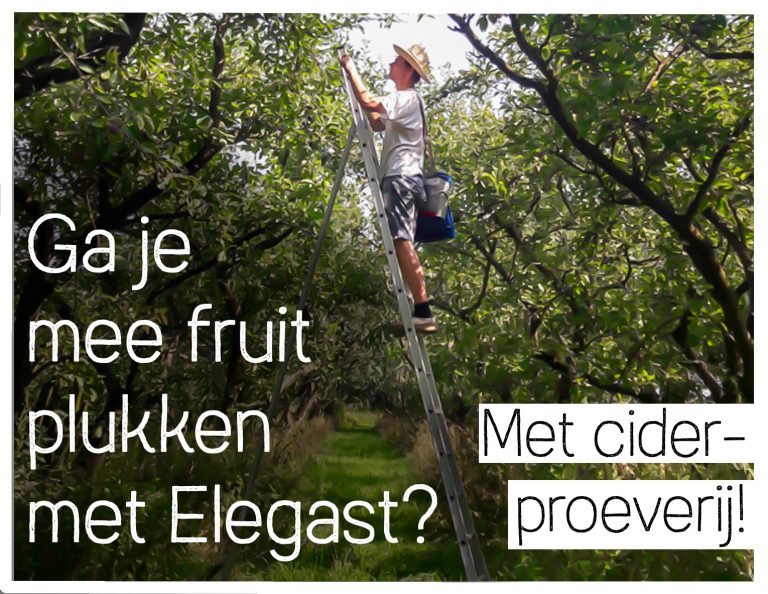 Help mee met de oogst in bijzondere hoogstamboomgaarden — Natuur in Betuwe