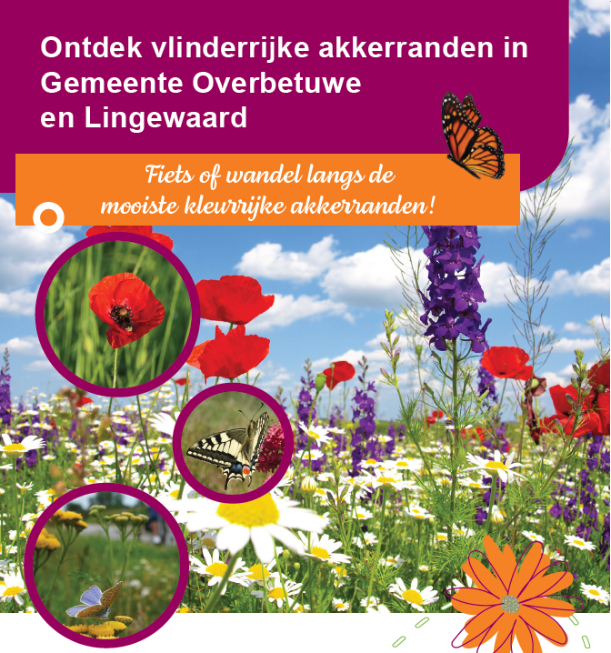 Fiets of wandel langs vlinderrijke akkerranden in Lingewaard en Overbetuwe — Natuur in Betuwe